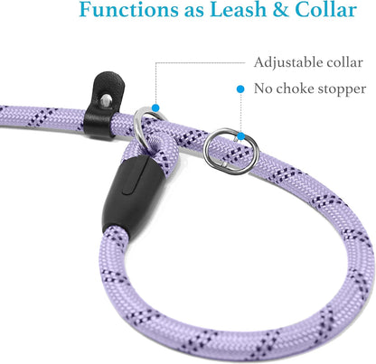 Durable Slip Lead Dog Leash with Padded Handle and Highly Reflective Threads, No Pull Dog Training Leash, (1/2" X 6 FT, Lavender)